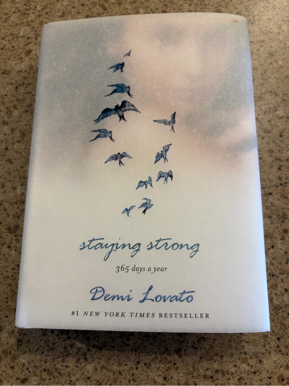 "Staying Strong" Inspirational Hardcover - Blue/White